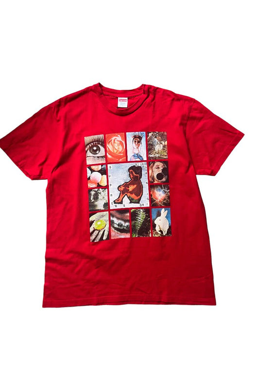 Supreme Original Sin T-Shirt - GROGROCERY